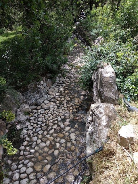 Jerusalem Botanical Garden